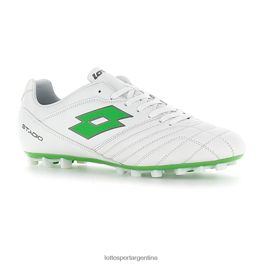 Lotto Asamblea General Anual ETAPA 300 II Hombre Zapatos TP02XJ202