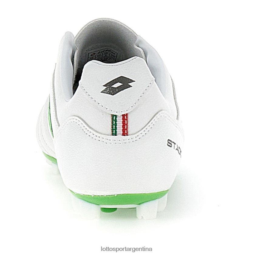 Lotto Asamblea General Anual ETAPA 300 II Hombre Zapatos TP02XJ202